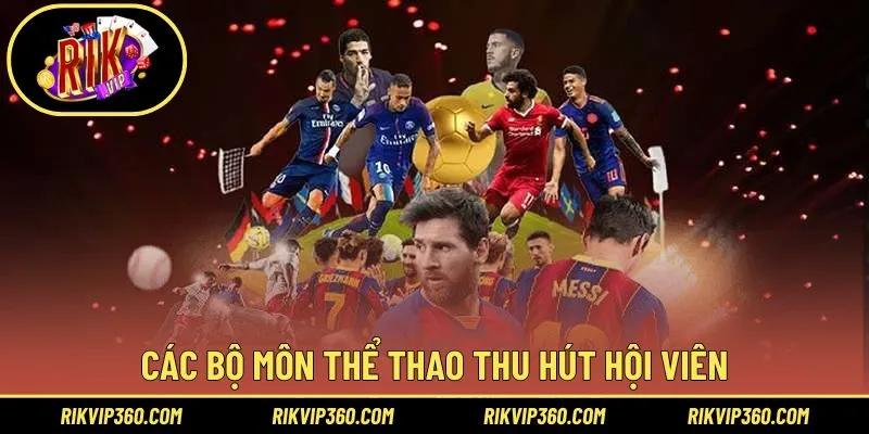 Khám phá các bộ môn thể thao thu hút hội viên