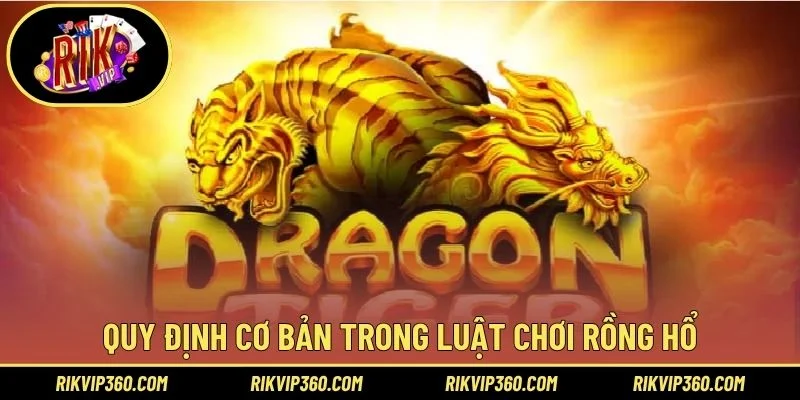Quy định cơ bản trong luật chơi rồng hổ